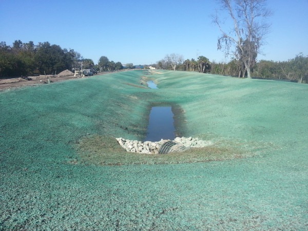 Commercial Hydroseed